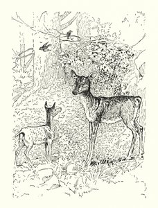 Krondyret og dets mor (litografi) af Louis John Rhead