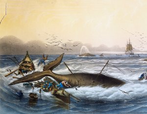 Hvalfangst i sydhavet, farvelitografi af Louis Lebreton (død 1866)
