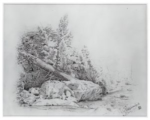 Faldet træ, Keene Valley, 25. juli 1883. af Louis Michel Eilshemius
