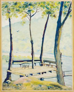 Landing (olie på kort lagt om bord) af Louis Michel Eilshemius