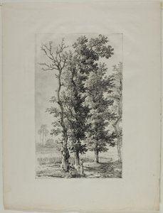 Undersøgelse af træer af Louis Pierre Baltard