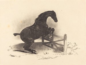 Hest hopper en barriere af Louis Pierre Marie Courtin after Théodore Gericault