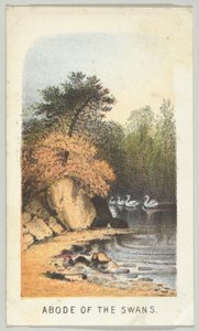 Abode of the Swans, fra serien, Views in Central Park, New York, del 2, 1864.