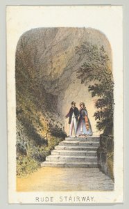 Rude Stairway, fra serien, Views in Central Park, New York, del 2, 1864.