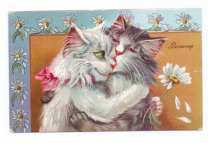 Edwardiansk postkort med to katte, der krammer hinanden, ca. 1910