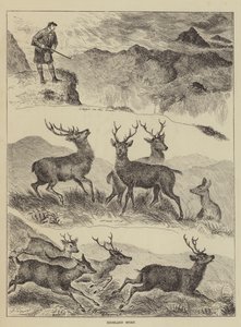 Highland Sport af Louis Wain