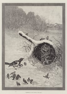 Besiddelse er ni punkter i loven af Louis Wain