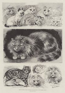 Prisvindere ved National Cat Club Show i Crystal Palace af Louis Wain