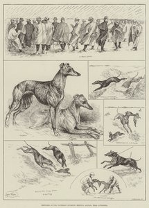 Skitser ved Waterloo Coursing Meeting, Altcar, nær Liverpool (gravering) af Louis Wain