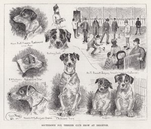 Southdown Fox Terrier Club Show i Brighton (gravering) af Louis Wain