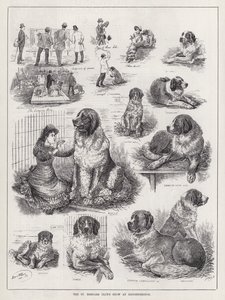 St Bernard Club