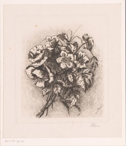 Blomsterstilleben med valmuer og anemoner af Louise Elsen