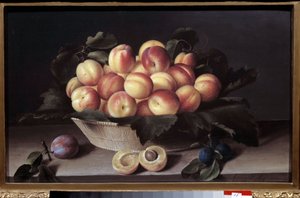 Stilleben med abrikoser. Kurv med abrikoser og blommer placeret foran. Maleri af Louise Moillon