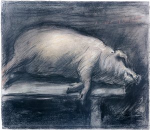 The Slaughter Pig Tegning af Lovis Corinth (1858-1925) New York, Museum of Modern Art