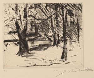 Træer i solen af Lovis Corinth