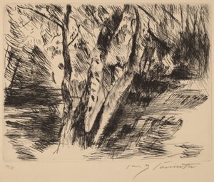 Birketræer i Tiergarten, 1920-1921. af Lovis Corinth