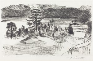 Grosse Walchenseelandschaft (stort Walchen-havlandskab) af Lovis Corinth