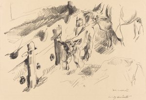 Kalve Kalve, 1912. af Lovis Corinth