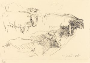 køer af Lovis Corinth