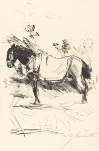 Reitpferd Ridehest, 1916. af Lovis Corinth