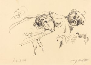 Schafböcke (væddere) af Lovis Corinth