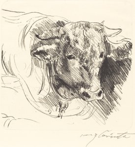 Stierkopf (leder af en styrmand) af Lovis Corinth