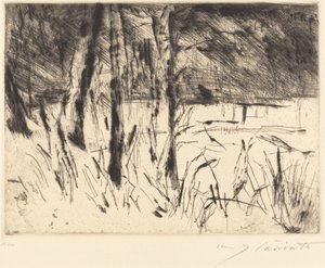 Tiergarten Zoologisk Have, 1922. af Lovis Corinth