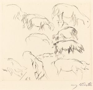 Forskellige dyrestudier Animal Studies, 1917. af Lovis Corinth