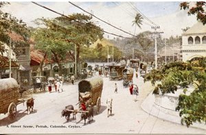 Gadescene, Pettah, Colombo, Ceylon, ca. 1900-20 (håndkoloreret fotografi)