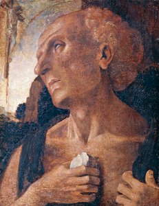 St. Jerome, tilskrevet Luca Signorelli (ca. 1441 eller 1450-1523) af Luca (attr.to) Signorelli