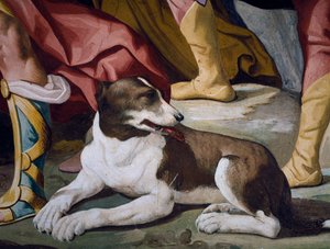 Hund, detalje af freskomaleri fra cyklus Stories of Antenor