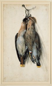 To døde bohemske vokser af Lucas Cranach the Elder