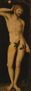 Adam, 1528 af Lucas Cranach the Elder