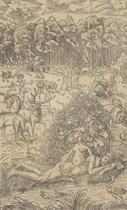 Evas skabelse af Lucas Cranach the Younger  
