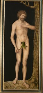 Adam. Ydersiden af vingerne på et alter (olie på træ) af Lucas the Elder Cranach