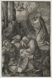 Lidenskaben: Kvalen i haven af Lucas van Leyden