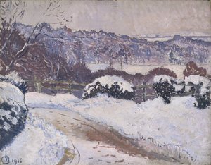 Dorking Road, Coldharbour, i sne