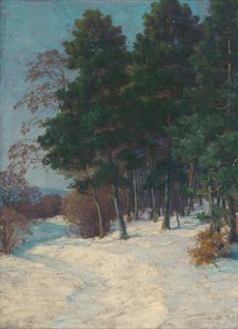 Skov om vinteren