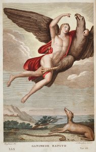 Ganymedes båret ind i himlen eller Ganimede Rapito, Bog X, illustration fra Ovids Metamorphoses, Firenze, 1832 (håndkoloreret gravering) af Luigi Ademollo