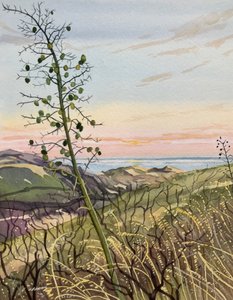 Kystnær plante – solnedgang af Luisa Millicent