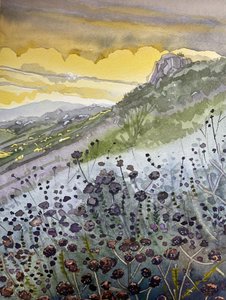 Solnedgang i bjergene og vilde blomster af Luisa Millicent