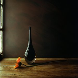 Elegant vase med gerberaer – stilleben af Luiz Laercio