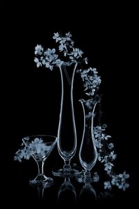 Blå blomster i glasvaser af Lydia Jacobs
