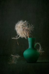 Mælkebøttefrø og grøn vase af Lydia Jacobs