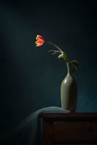 Mørkt blomsterstilleben af Lydia Jacobs