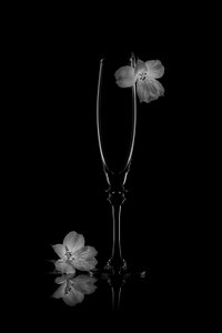Sart blomsterrefleksion af Lydia Jacobs