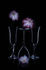 Sarte blomster og glasfløjter af Lydia Jacobs