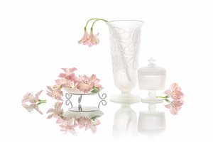 Elegant spejling af lyserøde blomster af Lydia Jacobs