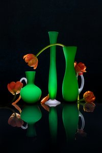 Glødende blomstervaser af Lydia Jacobs