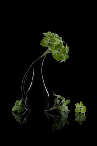 Refleksion af grønne blomster af Lydia Jacobs